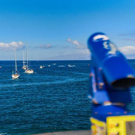 Seashell Crown Luxury * アデヘ