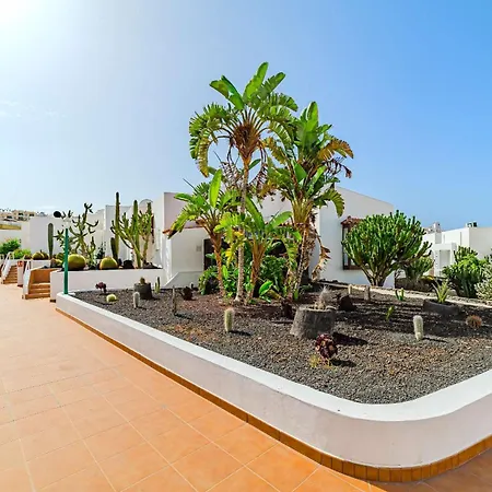 Seashell Crown Luxury *